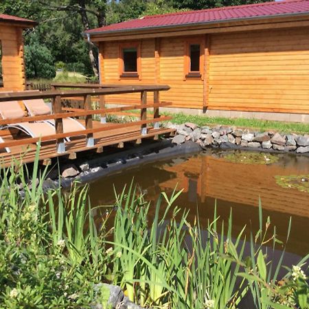 Blockhaus Harzblick Standard Villa Hohegeiss Bagian luar foto