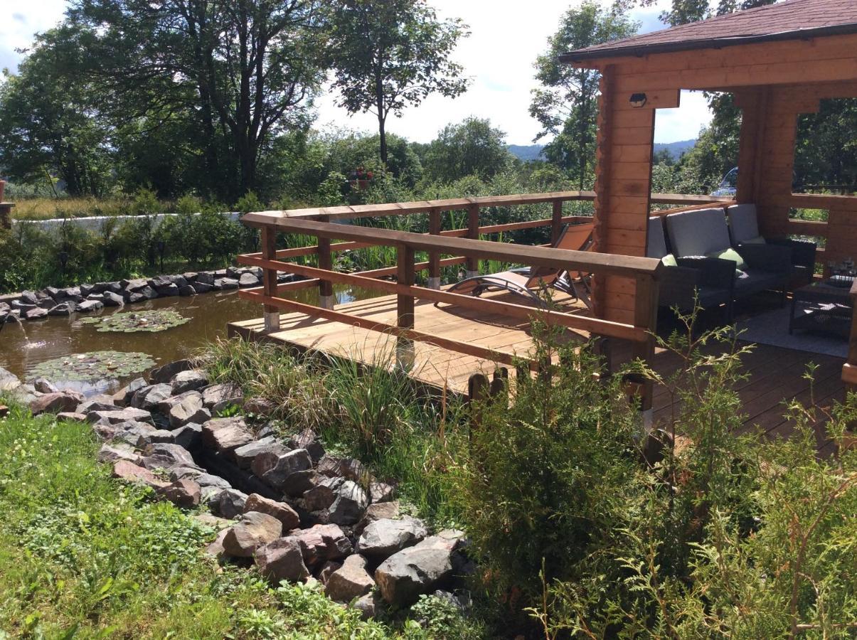 Blockhaus Harzblick Standard Villa Hohegeiss Bagian luar foto