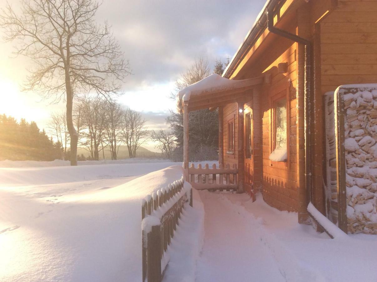 Blockhaus Harzblick Standard Villa Hohegeiss Bagian luar foto