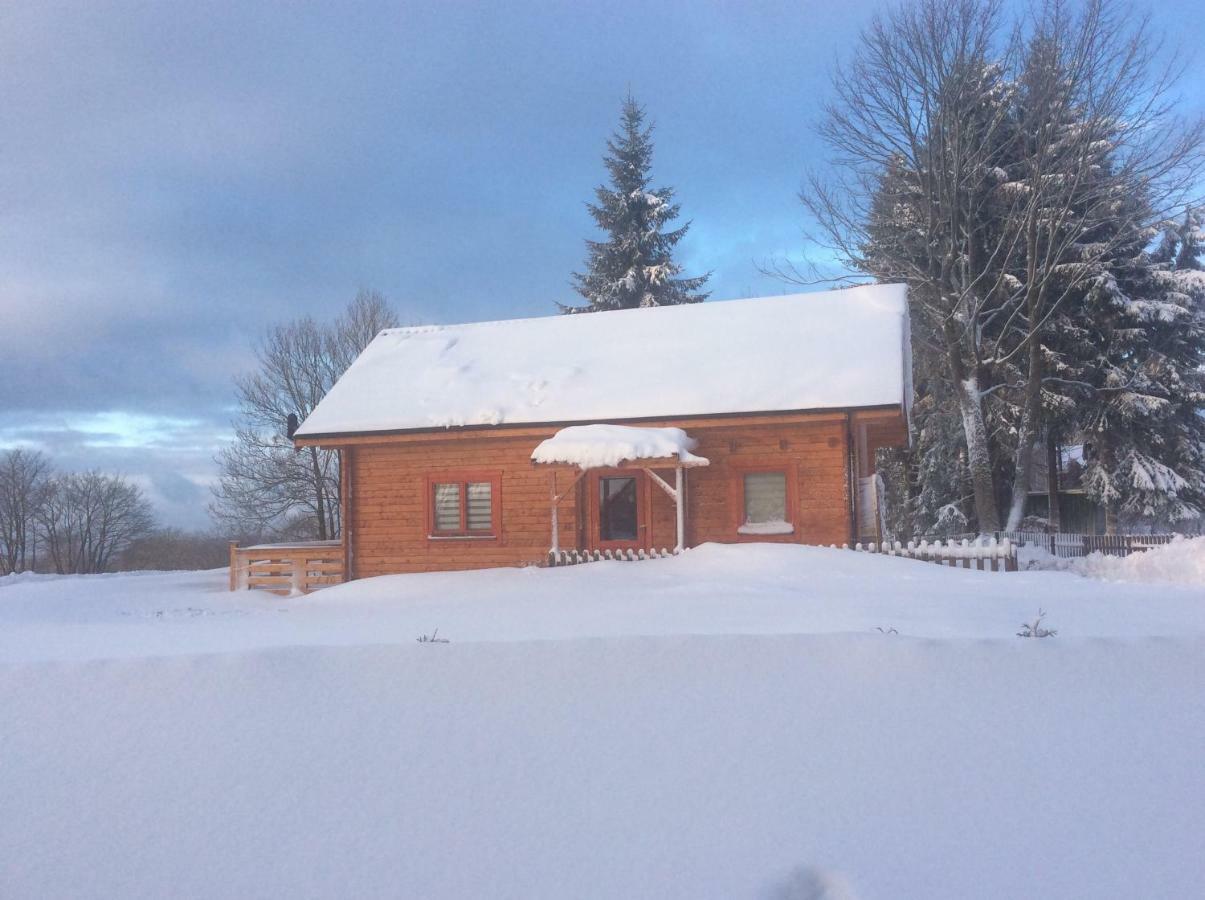 Blockhaus Harzblick Standard Villa Hohegeiss Bagian luar foto