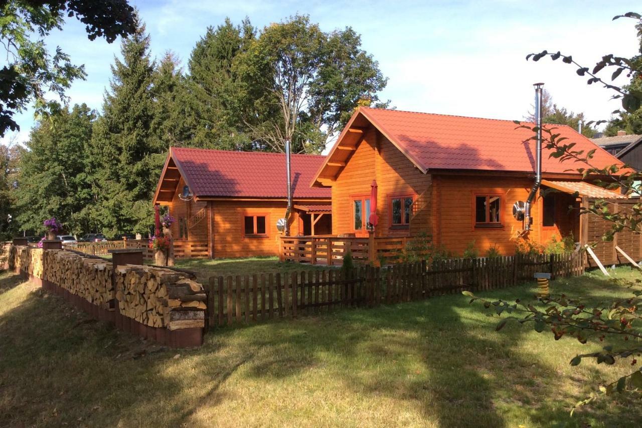 Blockhaus Harzblick Standard Villa Hohegeiss Bagian luar foto