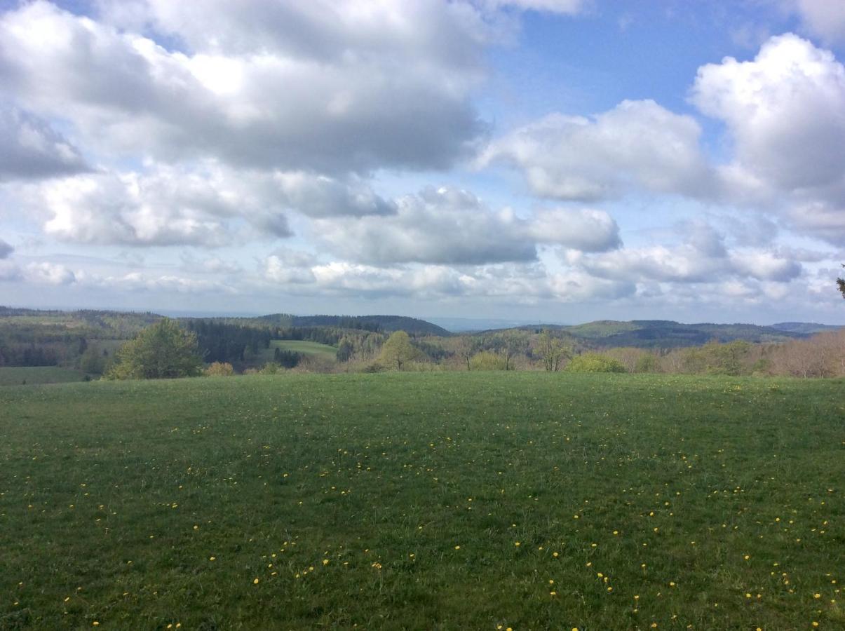 Blockhaus Harzblick Standard Villa Hohegeiss Bagian luar foto