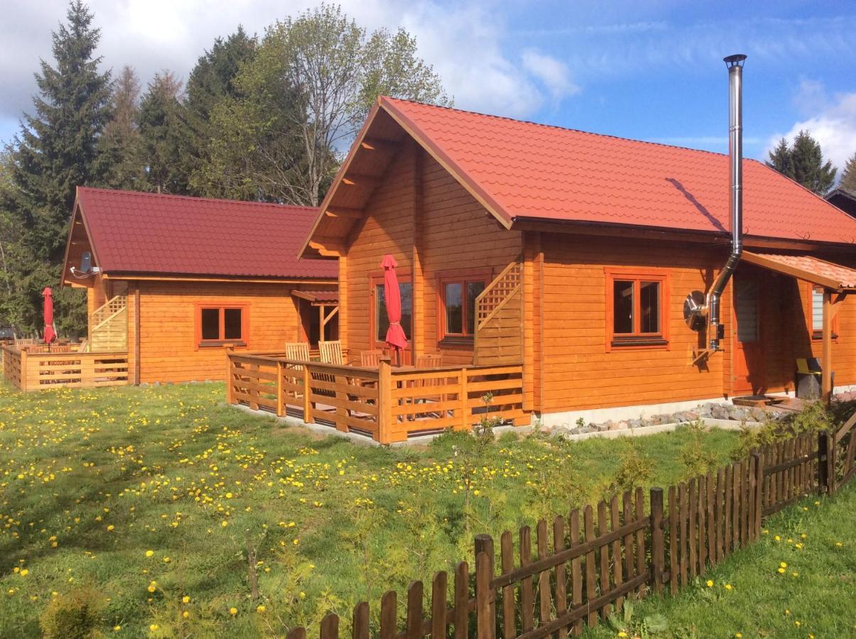 Blockhaus Harzblick Standard Villa Hohegeiss Bagian luar foto